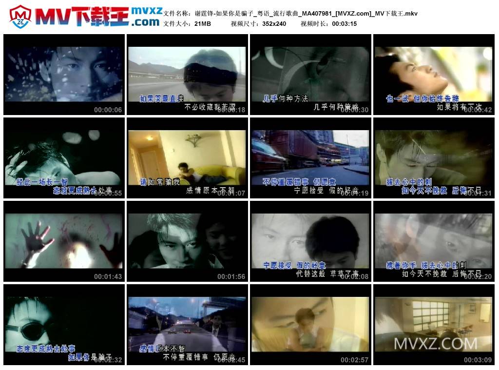 谢霆锋-如果你是骗子_粤语_流行歌曲_MA407981